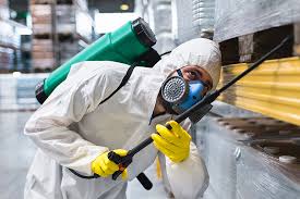 Best Fumigation Services  in Hornell, NY